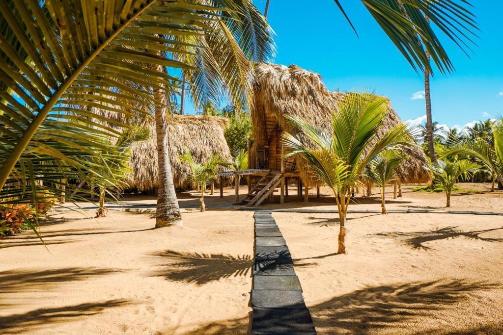 Puntacana Ecolodge Lavacama Beach Costa Arrecife By Aa Crypto Group Punta Cana Exteriér fotografie